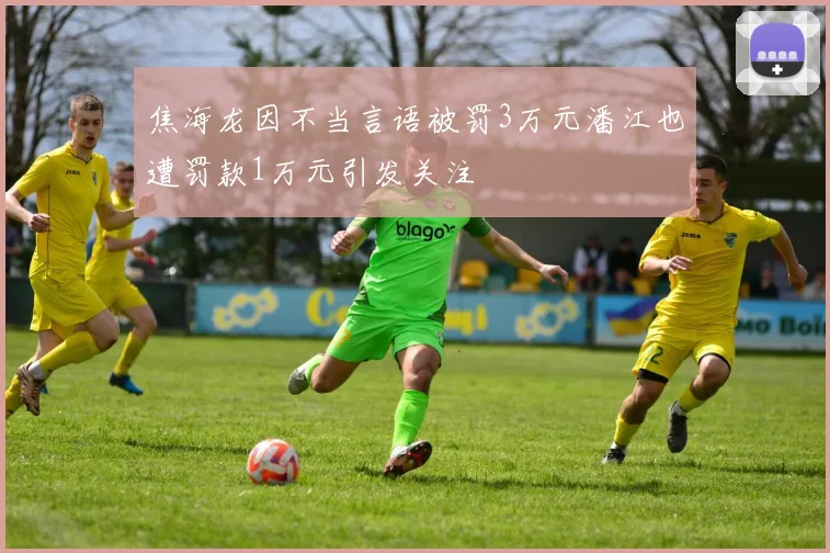 焦海龙因不当言语被罚3万元潘江也遭罚款1万元引发关注