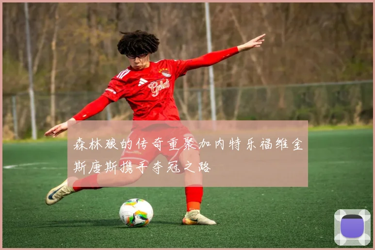 森林狼的传奇重聚加内特乐福维金斯唐斯携手夺冠之路